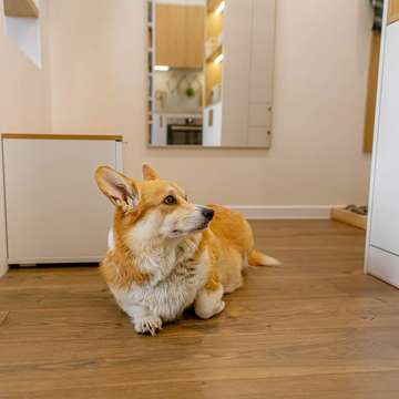 Фотография из портфолио