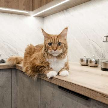 Фотография из портфолио